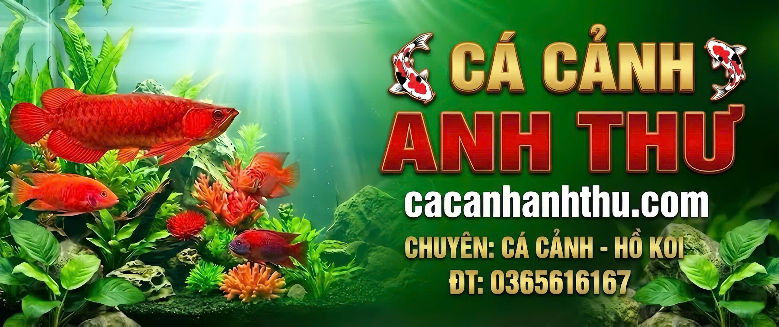 Tiêu đề banner 1